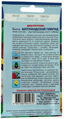 Виола Шотландский гибрид АКВАРЕЛЬ описание