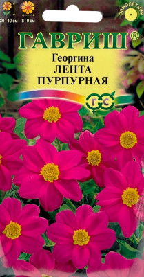 Георгина Лента пурпурная 0,2 г Н9