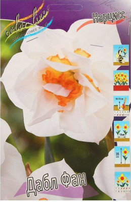 Нарцисс Дабл Фан (1шт)