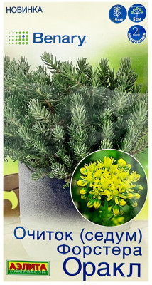 Очиток седум ФОРСТЕРА ОРАКЛ АЭЛИТА