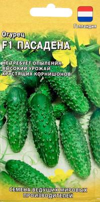 Огурец Пасадена F1 0,3 г корнишон (Голландия)