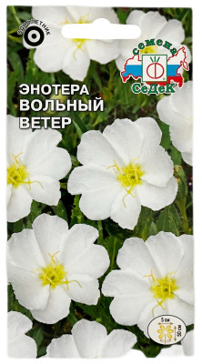 ЭНОТЕРА ВОЛЬНЫЙ ВЕТЕР СеДеК