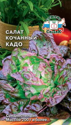 салат Кадо (кочан)