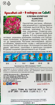 Клеома Камелия (фиолетовая)