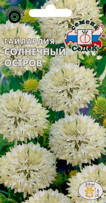 Гайлардия Солнечный Остров (вид красивая, кремово-белая)