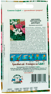 Цикламен Джордан СеДеК описание