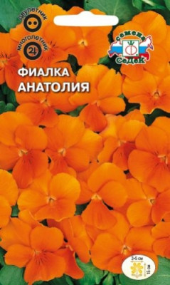 Фиалка Анатолия (вид: рогатая, оранжевая)