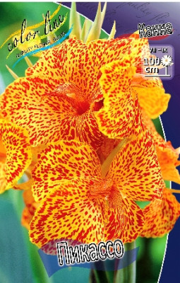 Канна Пикассо (упаковка 2шт) цена за 2шт