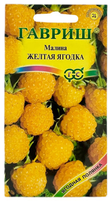 Малина ЖЕЛТАЯ ЯГОДКА ГАВРИШ