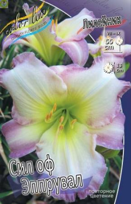 Лилейник Сил Оф Эппрувал (1шт)