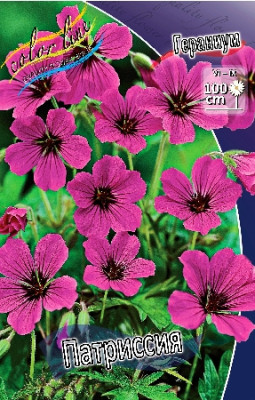 Гераниум Патрисия (2шт) 590