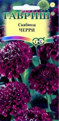 Скабиоза пурпурная Черри, махр.  0,5 г Н9