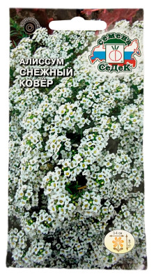 Алиссум морской СНЕЖНЫЙ КАВЕР СеДеК