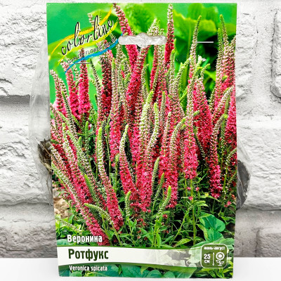 Вероника РОТФУКС