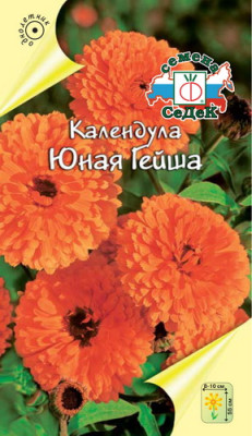Календула Юная Гейша