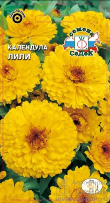 Календула Лили