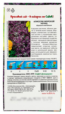 Алиссум морской НОЧКА СеДеК описание