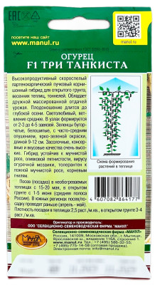 Огурец F1 Три танкиста МАНУЛ описание