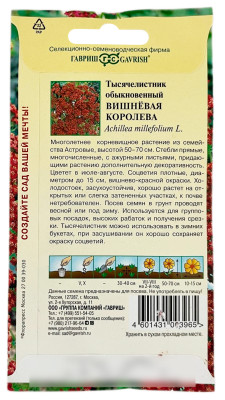 Тысячелистник обыкновенный ВИШНЁВАЯ КОРОЛЕВА ГАВРИШ описание