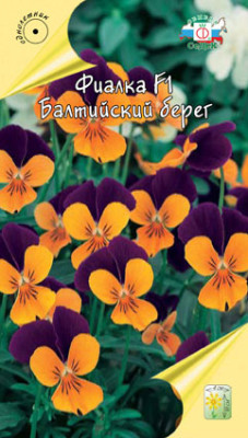 Фиалка Балтийский Берег