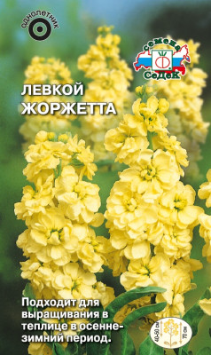 Левкой Жоржетта