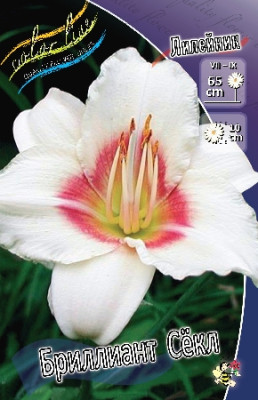 Лилейник Бриллиант Секл (3шт) 1682