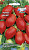 томат Икар* (Евро, 0,2)