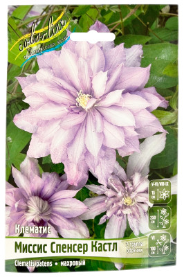 Клематис Миссис Спенсер Кастл (2 группа обрезки)