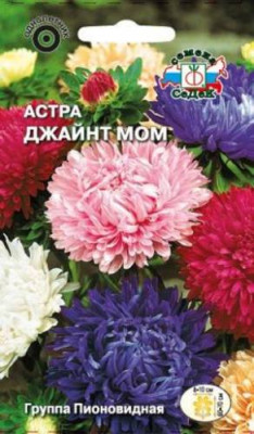 Астра Джайнт Мом (смесь)