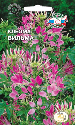 Клеома Вильма (розовая) (Евро, 0,2)