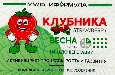 Мультиформула для Клубники Весна 0,5кг