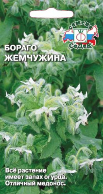 Бораго /огуречная трава/ Жемчужина