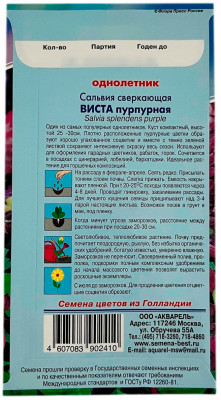 Сальвия сверкающая ВИСТА пурпурная АКВАРЕЛЬ описание