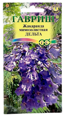 Жакаранда мимозолистная ДЕЛЬТА ГАВРИШ
