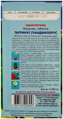 Мимулюс губастик ТИГРИНУС ГРАНДИФЛОРУС АКВАРЕЛЬ описание