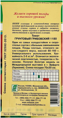 Томат ГРУНТОВЫЙ ГРИБОВСКИЙ 1180 ВНИИССОК описание