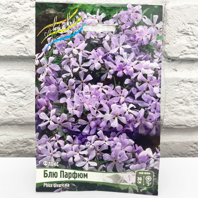 Флокс БЛЮ ПАРФЮМ