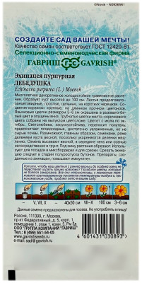 Эхинацея пурпурная ЛЕБЕДУШКА ГАВРИШ описание