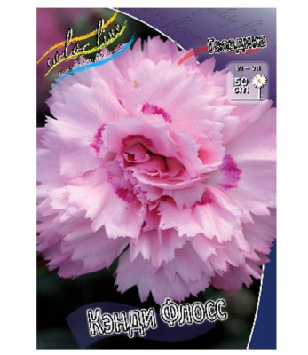 Гвоздика Кэнди Флосс (1шт) 4069