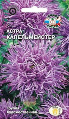 Астра Капельмейстер