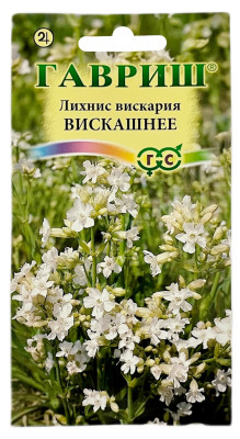 Лихнис вискария ВИСКАШНЕЕ ГАВРИШ