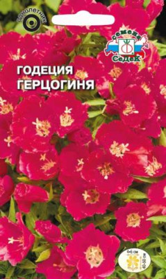 Годеция Герцогиня