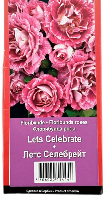 Роза флорибунда ЛЕТС СЕЛЕБРЕЙТ LETS CELEBRATE