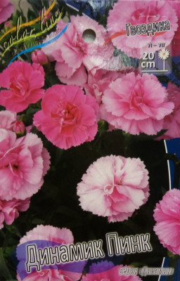 Гвоздика Динамик Пинк (1шт) 3932
