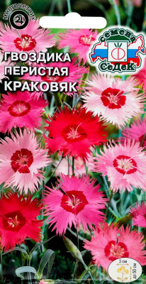 Гвоздика перистая Краковяк