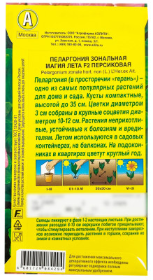 Пеларгония зональная МАГИЯ ЛЕТА F2 ПЕРСИКОВАЯ АЭЛИТА описание