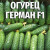 Огурец Герман F1 10шт