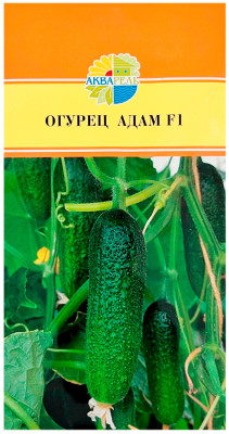 Огурец Адам F1 АКВАРЕЛЬ