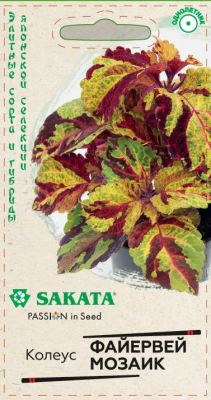 Колеус Файервей Мозаик 4шт Саката