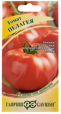 Томат ПЕЛАГЕЯ ГАВРИШ Томат ПЕЛАГЕЯ ГАВРИШ